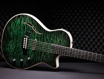 日本における保証 | Taylor Guitars