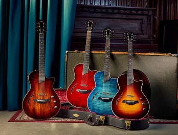 日本における保証 | Taylor Guitars