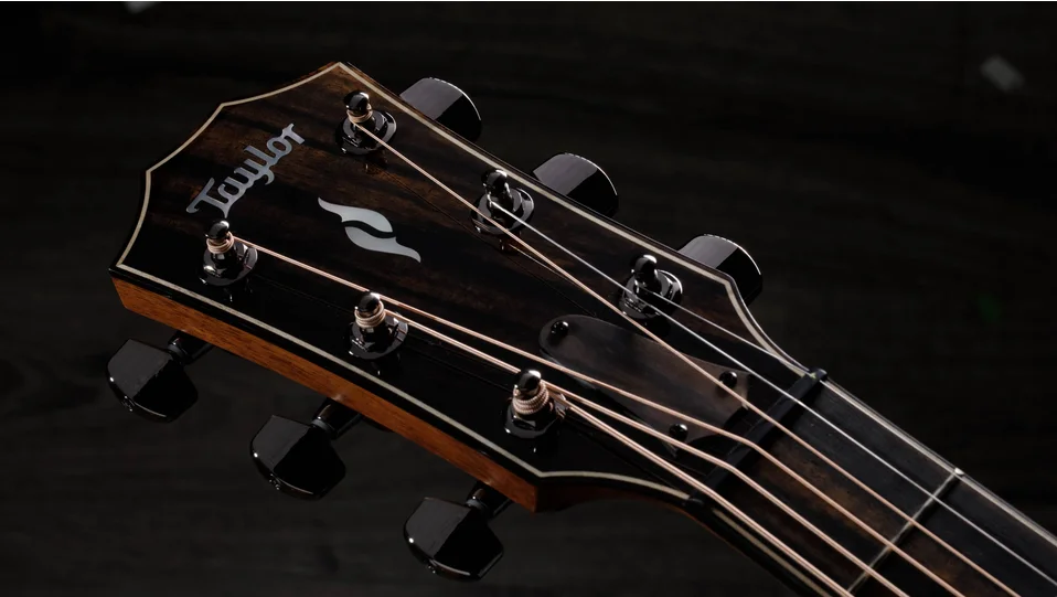 814ceIndian Rosewoodアコースティックエレクトリックギター | Taylor
