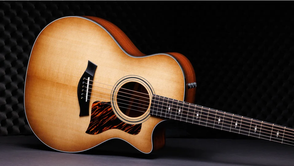 50th Anniversary 314ce LTD サペリ アコースティック エレクトリック