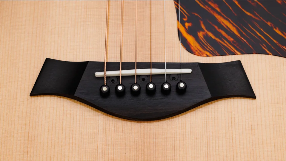 50th Anniversary 314ce LTD サペリ アコースティック エレクトリック