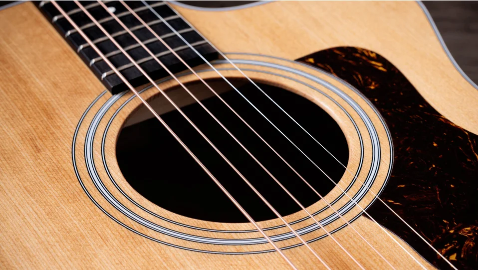 214ce レイヤード・ウォルナット アコースティック エレクトリック