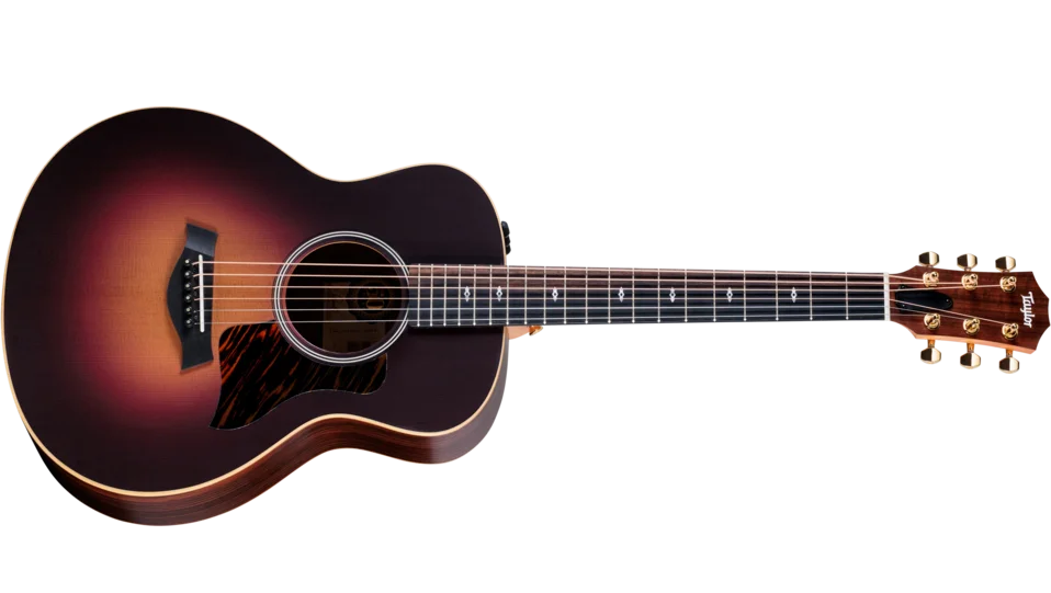 50th Anniversary GS Mini-e Rosewood SB LTDIndian Rosewood