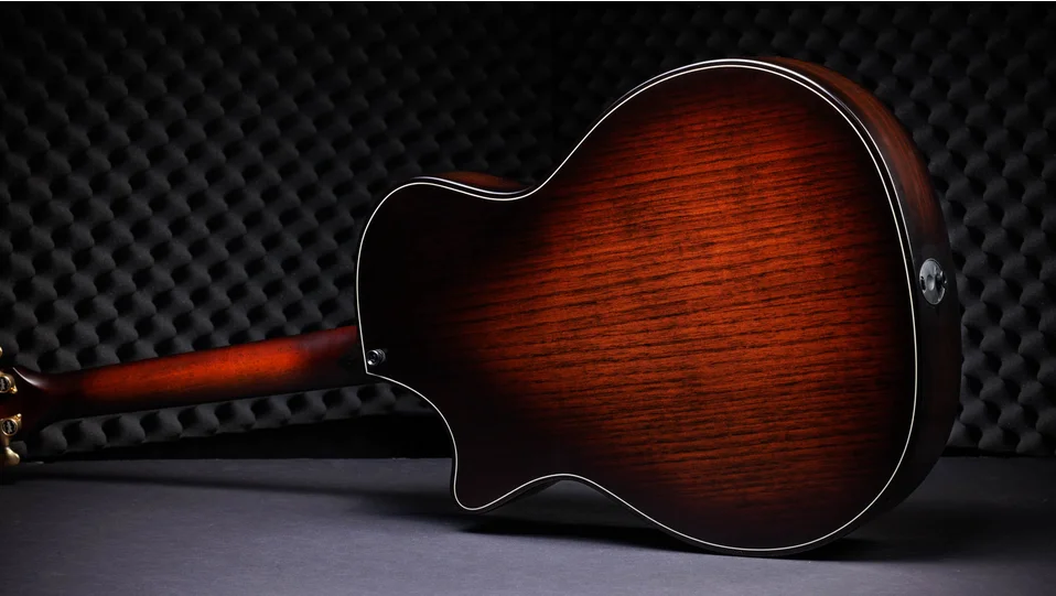 50th Anniversary ビルダーズ エディション 314ce LTD シャメル