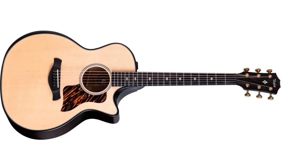 50th Anniversary ビルダーズ エディション 314ce LTD シャメル