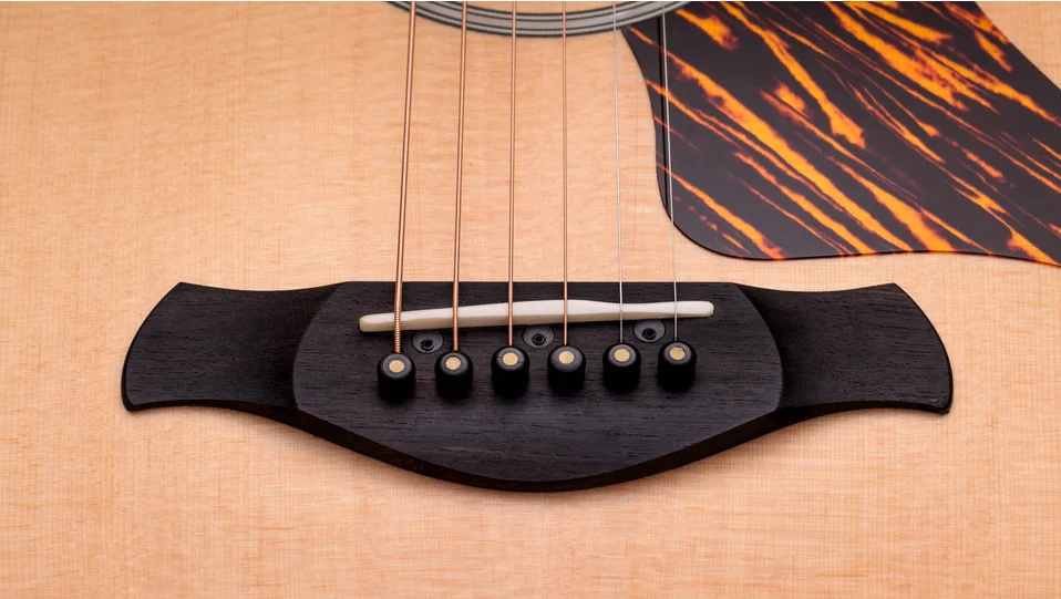 50th Anniversary ビルダーズ エディション 314ce LTD シャメル