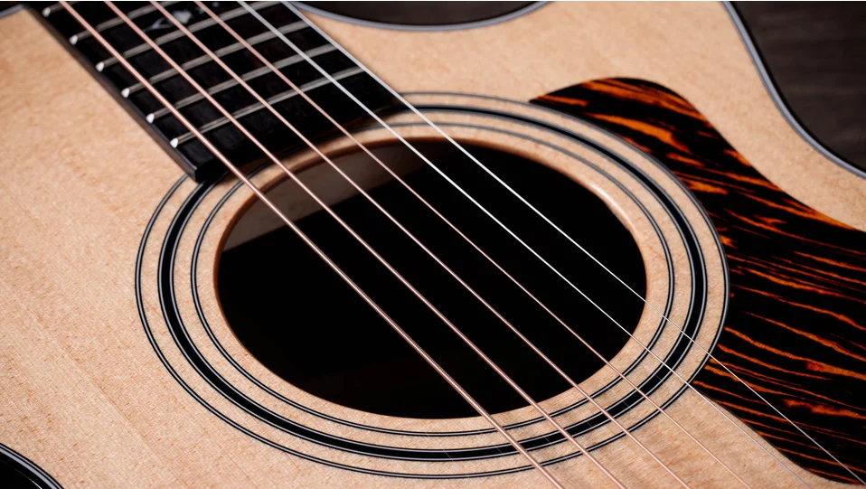 Taylor-312ce-1201094071-