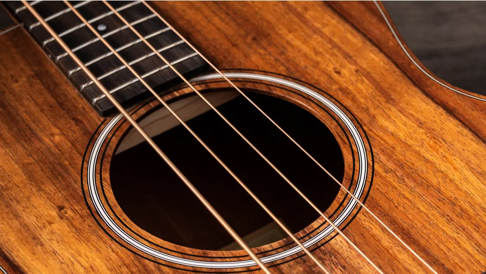 GS Mini-e Koa Bass レイヤード・コア アコースティック