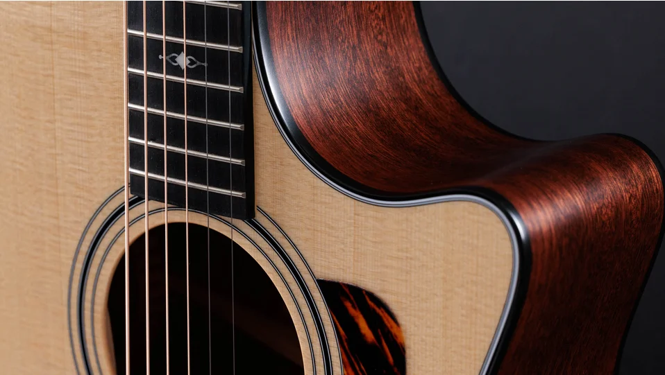 314ceSapeleアコースティック エレクトリック ギター | Taylor Guitars
