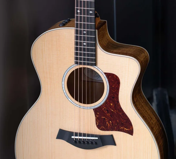アコースティックギター200シリーズ | Taylor Guitars