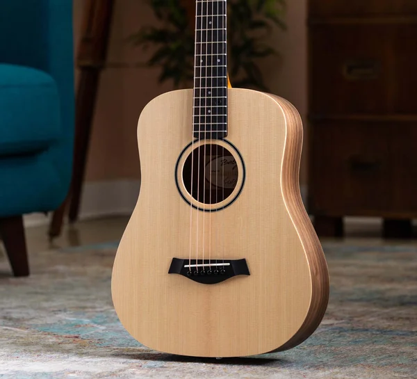 使用2カ月　Baby Taylor（BT1e）ミニ アコースティックギター 使用2カ月 Baby Taylor（BT1e）ミニ アコースティックギター Amazon