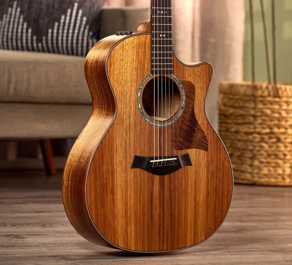700 Series アコースティックギター | Taylor Guitars