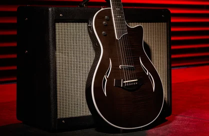 Taylor Guitars