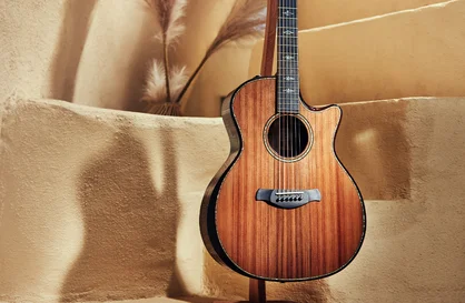 Builder's Edition 914ce | Taylor Guitars