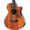 Next Generation PS12ce 12-Fret