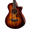 Next Generation K22ce 12-Fret Special Edition