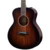 GS Mini-e Koa Plus