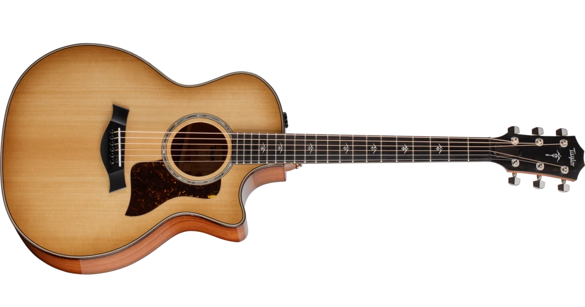 Taylor 514ce テイラー アコースティックギター エレアコ 514ce レッド アイアンバーク アコースティック エレクトリック ギター