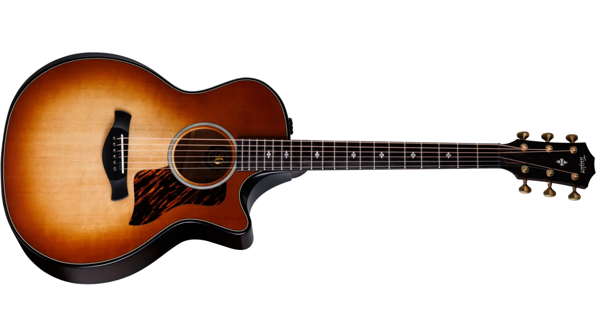 50th Anniversary ビルダーズ エディション 314ce LTD シャメル