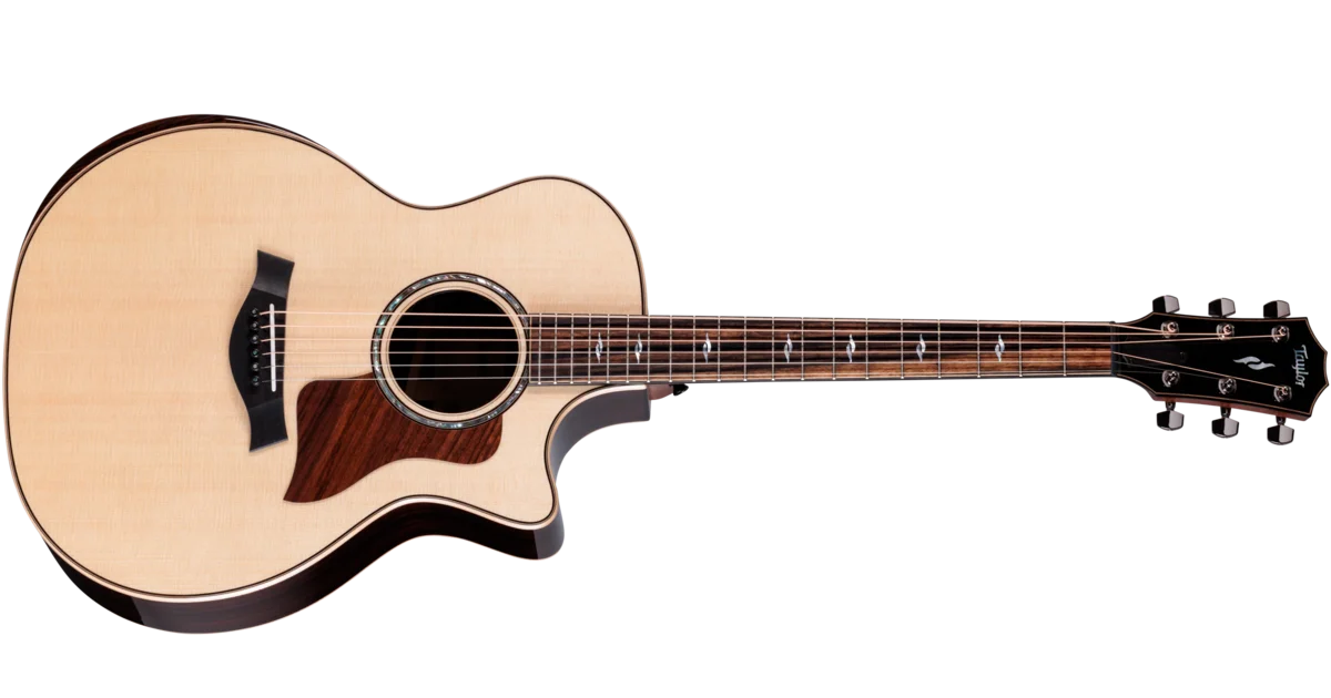 アコースティックギター　 Taylor-814ce-1208285067-2026-