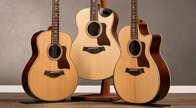 taylor-series-page-shapes